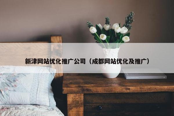 新津网站优化推广公司（成都网站优化及推广）
