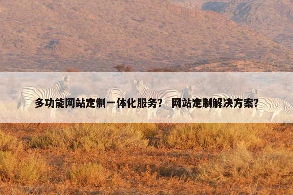 多功能网站定制一体化服务？ 网站定制解决方案？