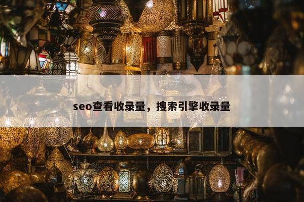 seo查看收录量，搜索引擎收录量
