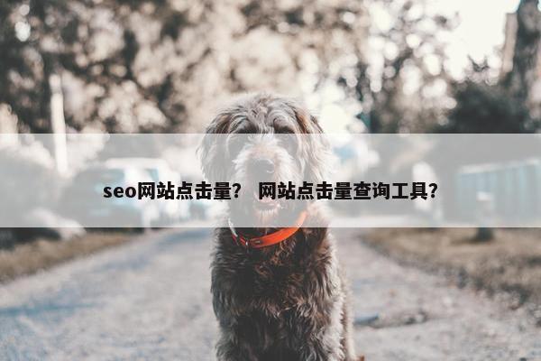 seo网站点击量？ 网站点击量查询工具？