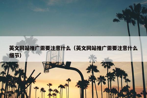 英文网站推广需要注意什么（英文网站推广需要注意什么细节）