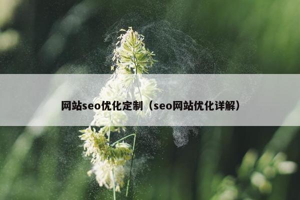 网站seo优化定制（seo网站优化详解）