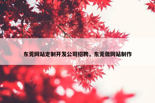 东莞网站定制开发公司招聘，东莞做网站制作
