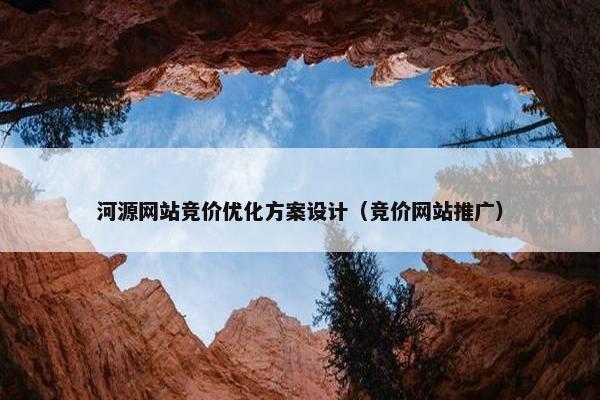 河源网站竞价优化方案设计（竞价网站推广）
