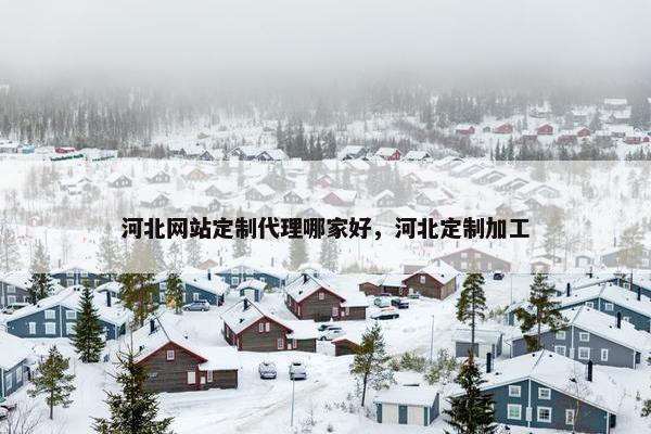 河北网站定制代理哪家好，河北定制加工