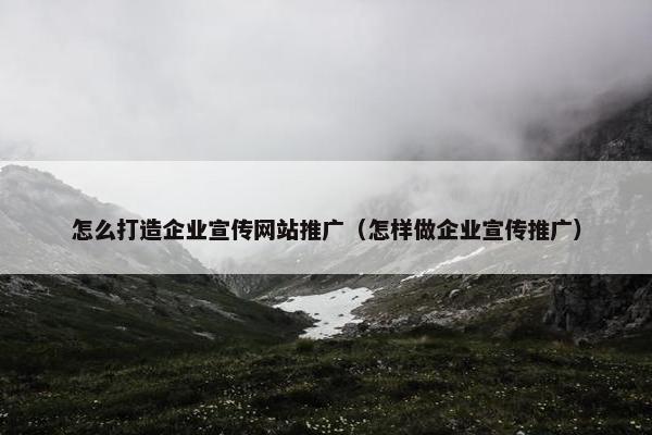 怎么打造企业宣传网站推广（怎样做企业宣传推广）