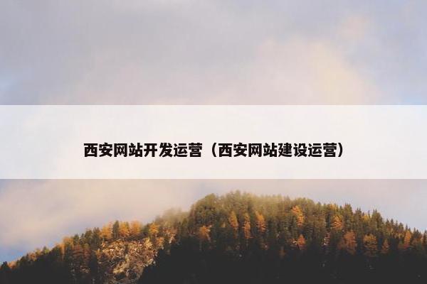 西安网站开发运营（西安网站建设运营）