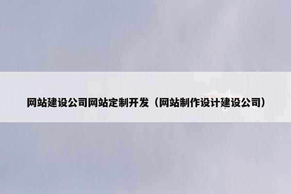 网站建设公司网站定制开发（网站制作设计建设公司）