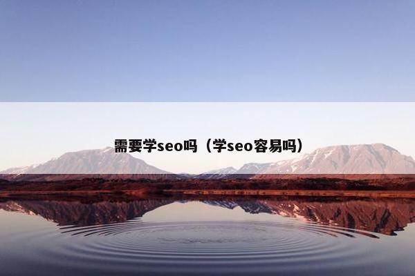 需要学seo吗（学seo容易吗）