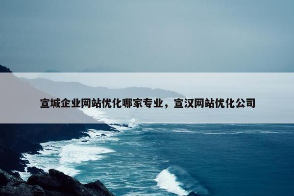 宣城企业网站优化哪家专业，宣汉网站优化公司