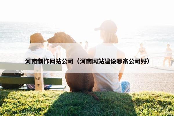 河南制作网站公司（河南网站建设哪家公司好）
