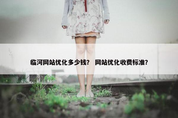 临河网站优化多少钱？ 网站优化收费标准？