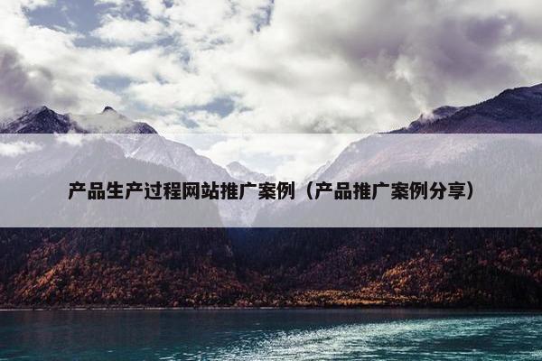 产品生产过程网站推广案例（产品推广案例分享）