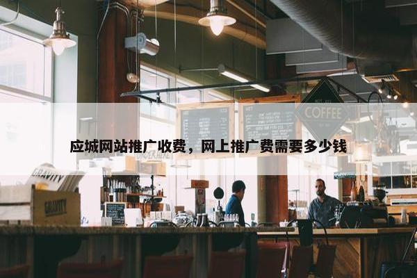 应城网站推广收费，网上推广费需要多少钱