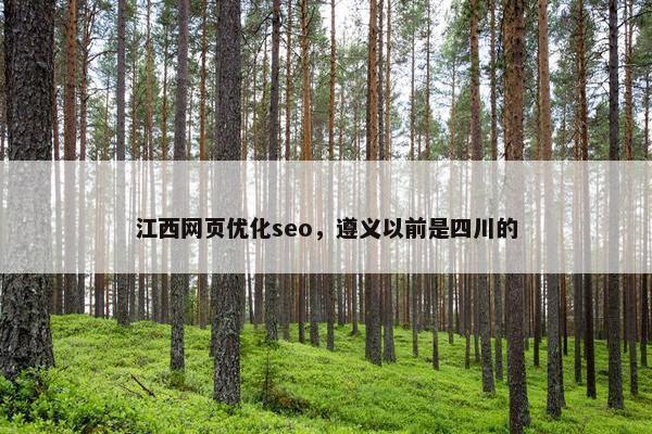 江西网页优化seo，遵义以前是四川的