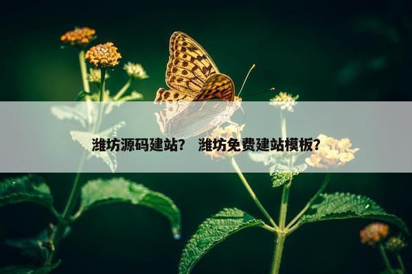 潍坊源码建站？ 潍坊免费建站模板？