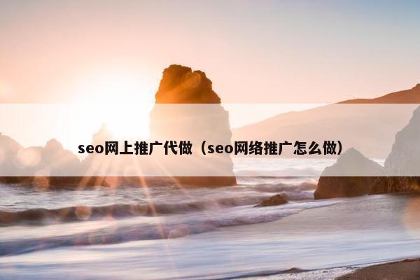 seo网上推广代做（seo网络推广怎么做）