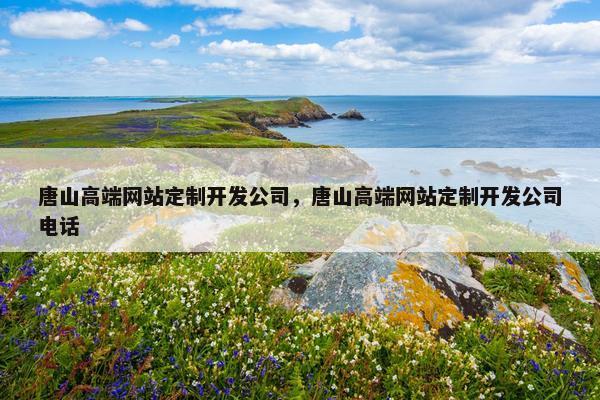 唐山高端网站定制开发公司，唐山高端网站定制开发公司电话