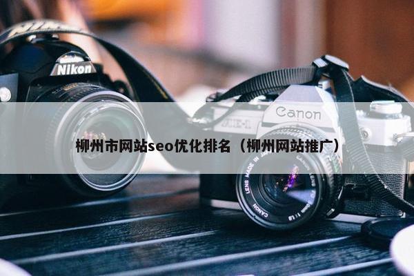 柳州市网站seo优化排名（柳州网站推广）