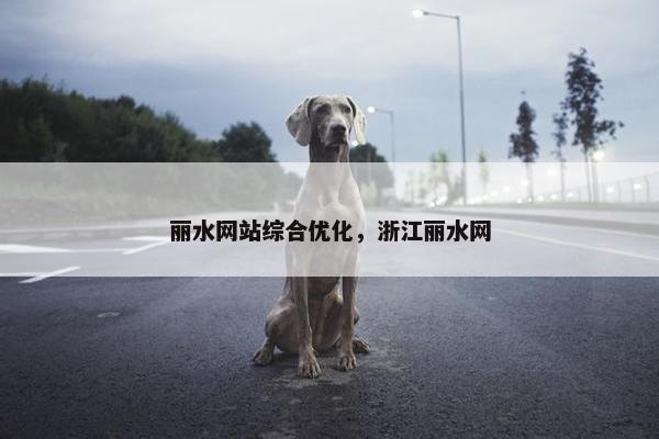 丽水网站综合优化，浙江丽水网