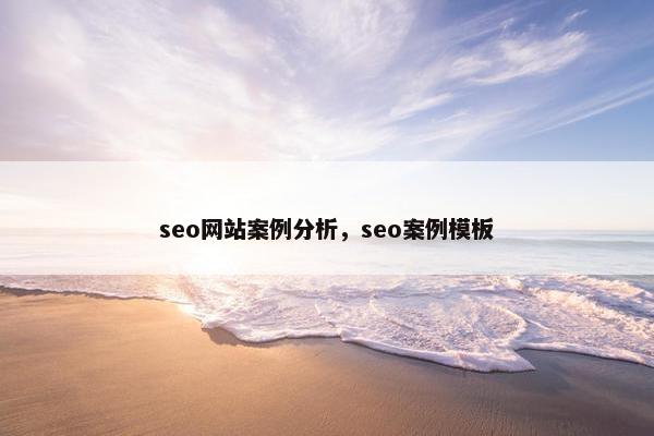 seo网站案例分析，seo案例模板
