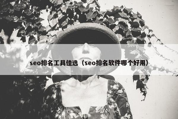 seo排名工具佳选（seo排名软件哪个好用）