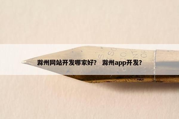 滁州网站开发哪家好？ 滁州app开发？