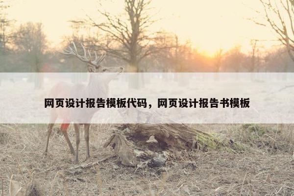 网页设计报告模板代码，网页设计报告书模板