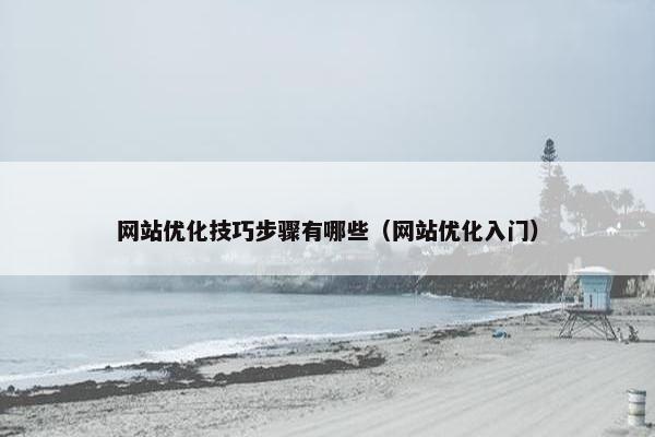 网站优化技巧步骤有哪些（网站优化入门）