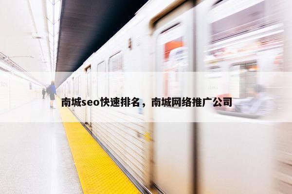 南城seo快速排名，南城网络推广公司