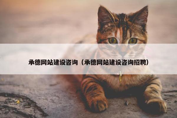 承德网站建设咨询（承德网站建设咨询招聘）