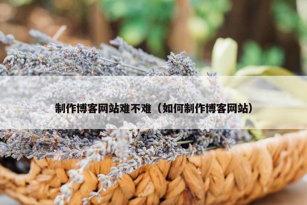 制作博客网站难不难（如何制作博客网站）