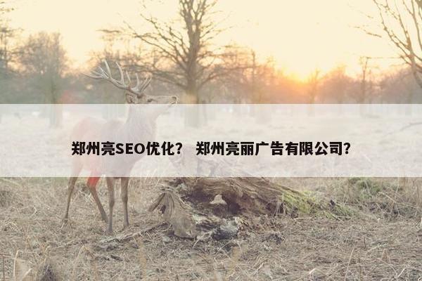 郑州亮SEO优化？ 郑州亮丽广告有限公司？