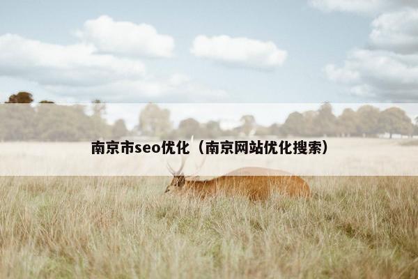 南京市seo优化（南京网站优化搜索）