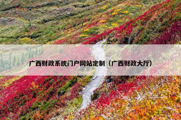 广西财政系统门户网站定制（广西财政大厅）
