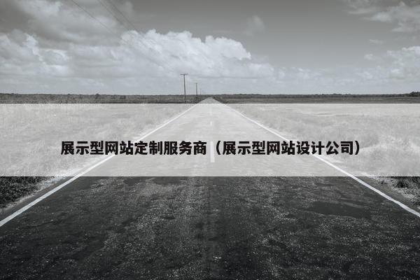 展示型网站定制服务商（展示型网站设计公司）