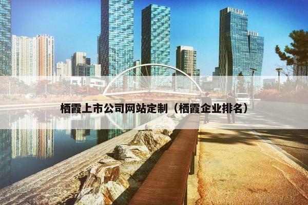栖霞上市公司网站定制（栖霞企业排名）
