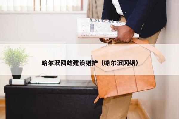 哈尔滨网站建设维护（哈尔滨网络）