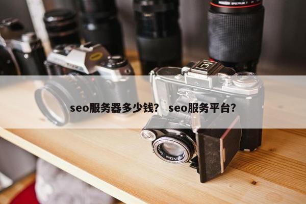 seo服务器多少钱？ seo服务平台？