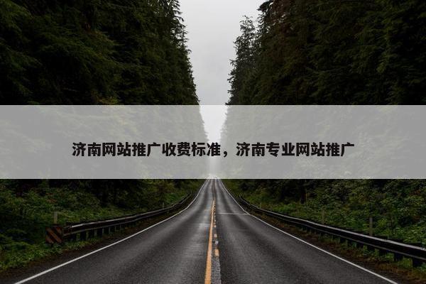 济南网站推广收费标准，济南专业网站推广