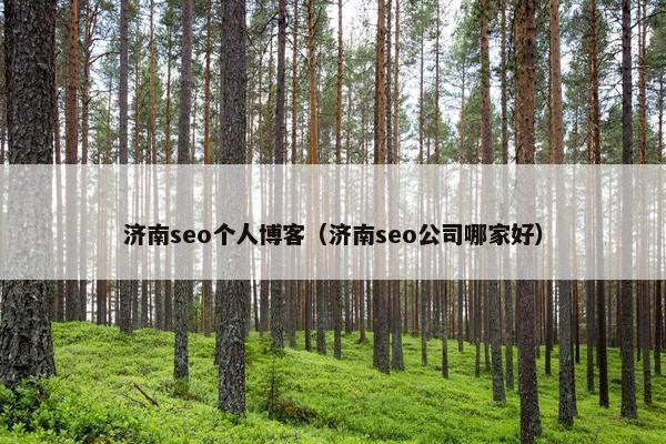 济南seo个人博客（济南seo公司哪家好）