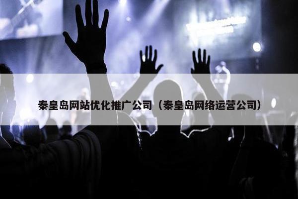 秦皇岛网站优化推广公司（秦皇岛网络运营公司）