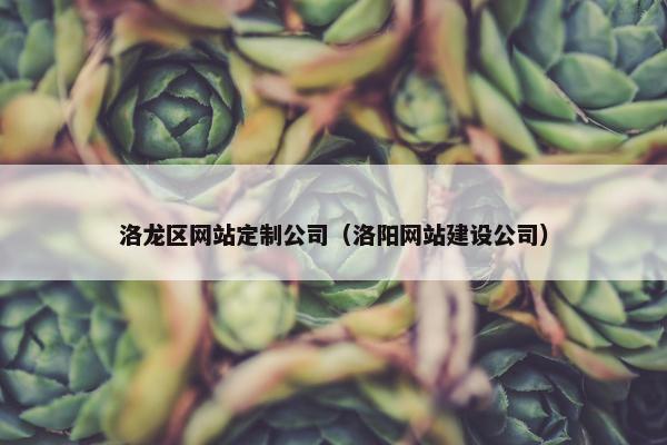 洛龙区网站定制公司（洛阳网站建设公司）