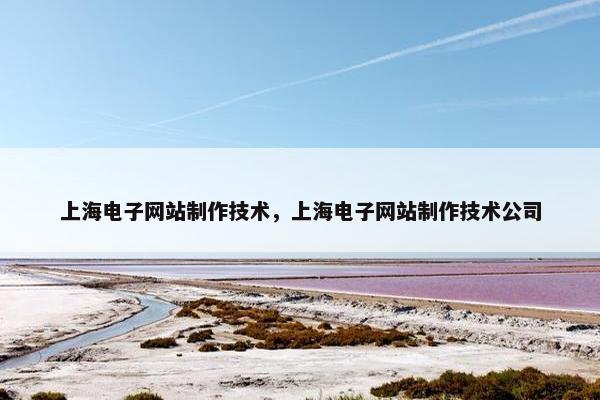 上海电子网站制作技术，上海电子网站制作技术公司