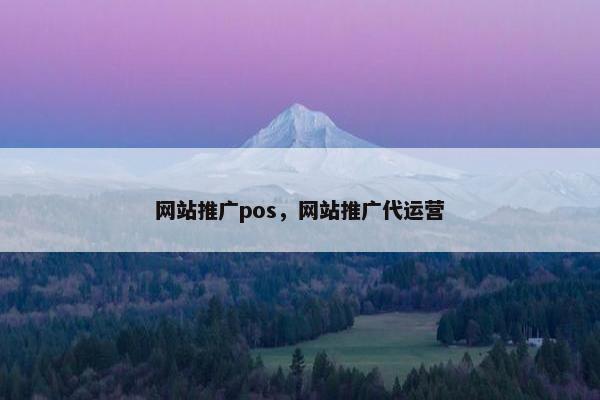 网站推广pos，网站推广代运营
