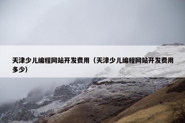 天津少儿编程网站开发费用（天津少儿编程网站开发费用多少）