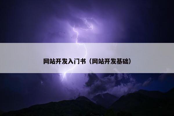 网站开发入门书（网站开发基础）