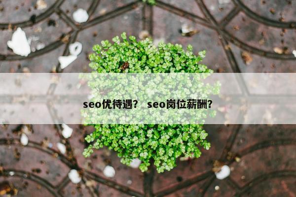 seo优待遇？ seo岗位薪酬？