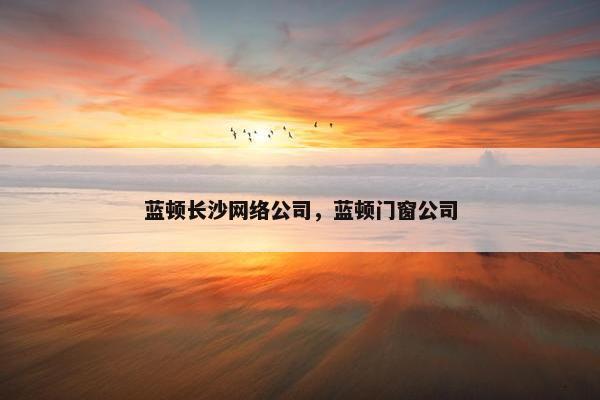 蓝顿长沙网络公司，蓝顿门窗公司