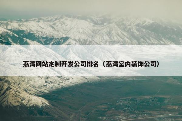 荔湾网站定制开发公司排名（荔湾室内装饰公司）